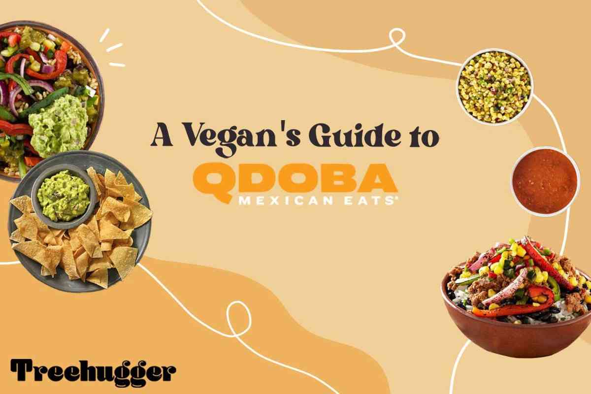 A guide to vegan options at Qdoba